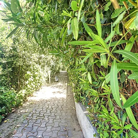 En Duplex 288l Lägenhet Cannes