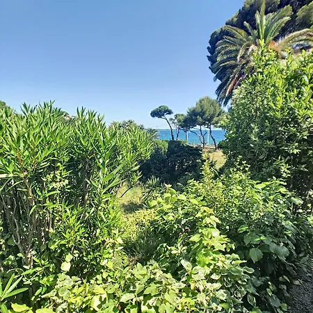 Lejlighed En Duplex 288l Cannes